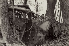 Car-in-the-Woods-LEEDS-2